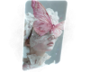 𝕄✓م  Butterfly w