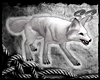 [SS] White Fox Pet