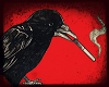 🐦 Crow Sticker