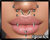 !iP Multi Piercings