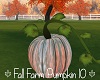 Fall Farm Pumpkin 10