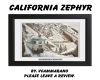 WINTER CALIFORNIA ZEPHYR