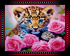 🐆 Leopard Cub BG