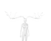 Antlers Horns White