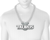 TAURUS CHAIN♉