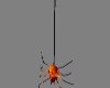 Scary Animated Spider