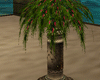 [kyh]pacific plant