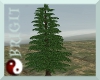 {TFB} Green Pine Tree