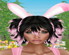 Diva Bunny Black/Pink