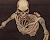 Half Buried Skeleton