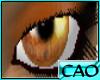 CAO Amber Brown Eyes