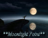 **Moonlight Point**
