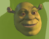 Shrek purse