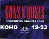 Guns&Roses HeavensDoor 2