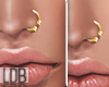 Gold Open Nose Ring L