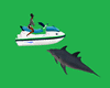 moto d'acqua con delfini