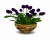 gold vase purple tulips