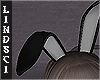 🐰bunny ears