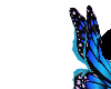 random blue butterfly W