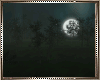𝓼♥| Night in Forest