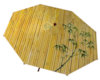 Oriental Umbrella