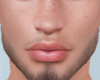 Beard+Brows
