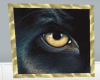 Panthers Eye