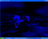 Night Light Horses
