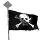 pirate flag on pole