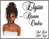 RHBE.Elyssa Brown Ombre