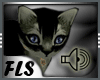 [FLS]Adult Black Cat Pet