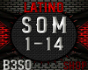 Somos Latinos ~ Remix