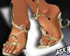 (X)belly dance shoes
