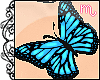 *SALE* Butterfly nckl 1