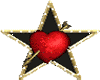 sticker  star with heart