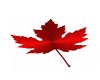 Red Maple Leaf Marker