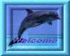 welcome dolfijn