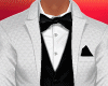 Formal Suit  SilverWhite