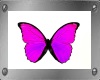 Pink Butterflys*