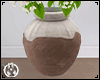 Pottery Hydrangea