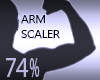 Arm Resizer Scaler 74%