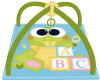 Frog Baby Playmat