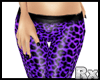 [Rx] WiLD! Purple Pants