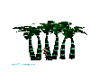 animated palm trees