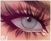 Fun Zell Lashes