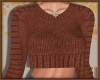 |S| Autumn Sweater