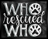 Who Rescued Who Art