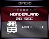 [F] Indonesia Wonderland