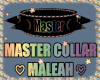 ✧ Master ✧