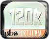 [LuBA] 120k ~ Support!